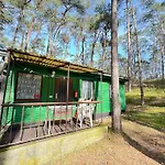 Feriendomizil Im Kuestenwald דירה *